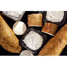 tapioca casava