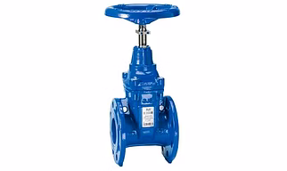 GATE VALVE