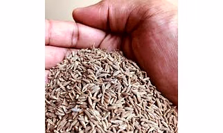 Cumin Seeds