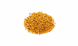 Fenugreek seeds
