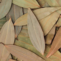 bayleaf