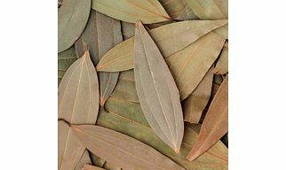Bayleaf