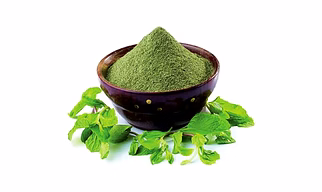 Mint Leaves Powder