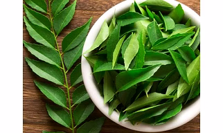 Curry Leaves Powder