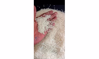 IR 64 Raw Long grain Rice