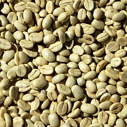 green robusta coffee beans