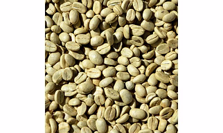 Green Robusta Coffee Beans