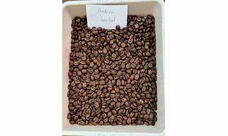 Roasted Arabica Coffee Beans