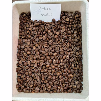 roasted arabica coffee beans