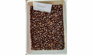Roasted Robusta Coffee Beans