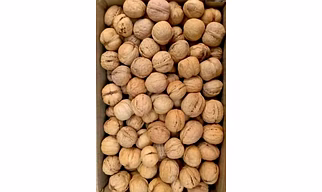 Wallnuts