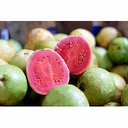 pink guava