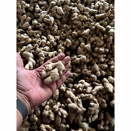 fresh ginger
