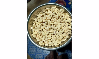 Cashew nut W240