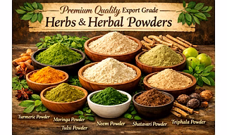 Premium quality export grade Organic Neem leaves Powder