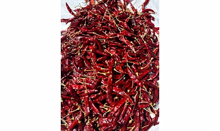 Guntur Red Chillies