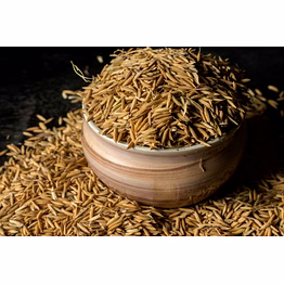 cumin seed