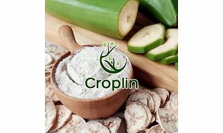 Green Banana powder