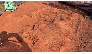 Iron Ore