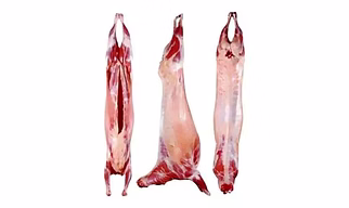 Chilled Mutton Carcass