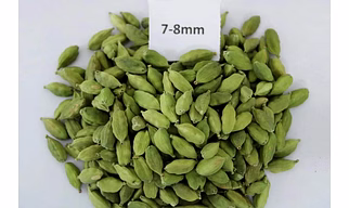 GREEN CARDAMOM