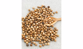 White Pepper