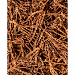 clove stem