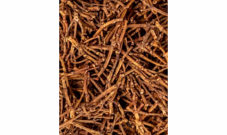 Clove Stem