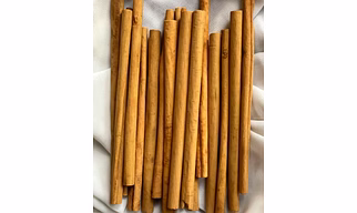 Cinnamon Alba