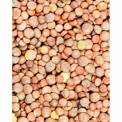 whole lentils