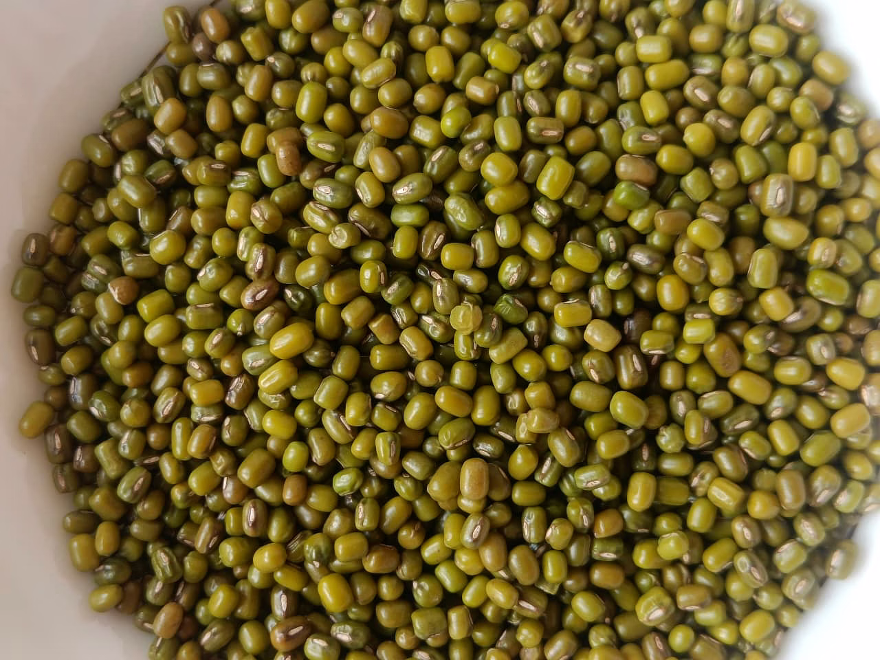 green mung beans