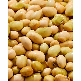 soyabean