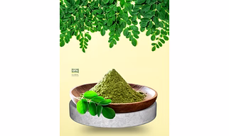 Moringa Powder