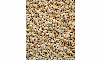 cashew nuts