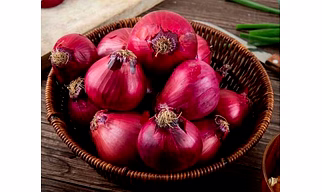 Onion