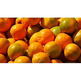 nagpur oranges