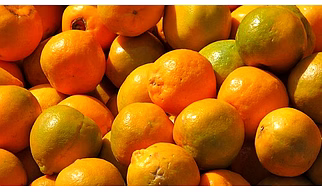 Nagpur Oranges