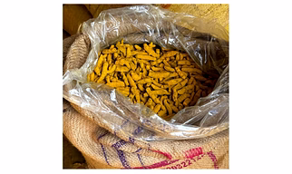 Turmeric