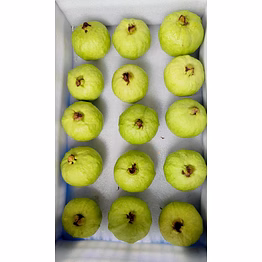 guava