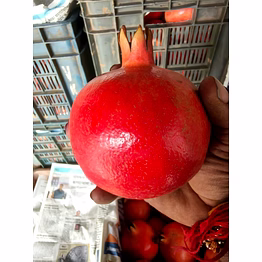 pomegranate