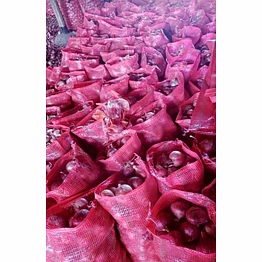 red onion
