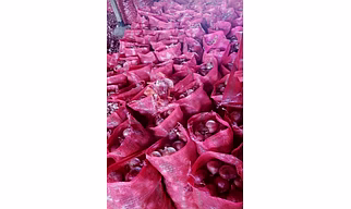 Red onion