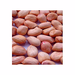 java peanuts