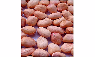 java peanuts