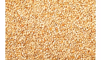 natural sesame seed