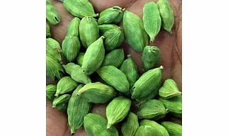 CARDAMOM