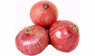 Onion