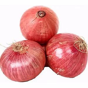 Onion
