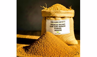 Cow Dung Powder Manure Sundried