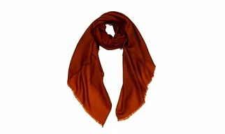 Pashmina Scarfs